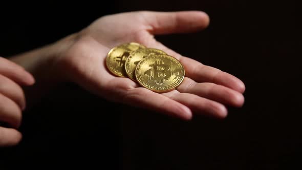 Woman Hand Holding Cryptocurrency Golden Bitcoin Coin Ondark Background alt