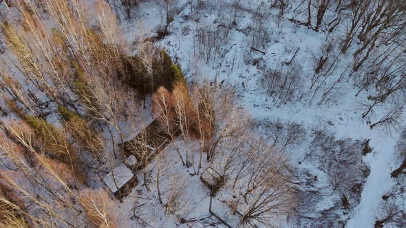 Magical Winter Landscape Forest Trees Covered Snow Sunset in Winter Period alt