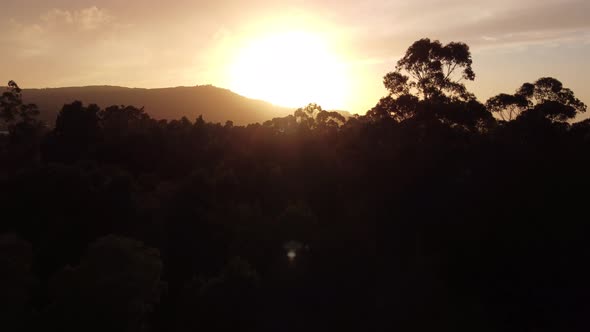 Aerial Forest Sunset 4K 01 alt