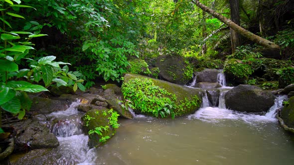 Waterfalls beautiful nature video . Nature video Motion waterfall in rain forest Shot on Gimbal alt