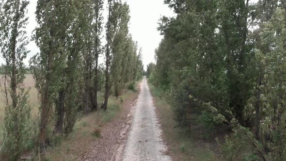 Pave Cobblestone Road alt