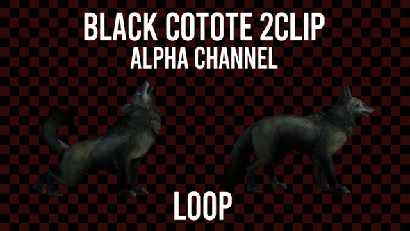 Black Coyote 2clip Loop Alpha