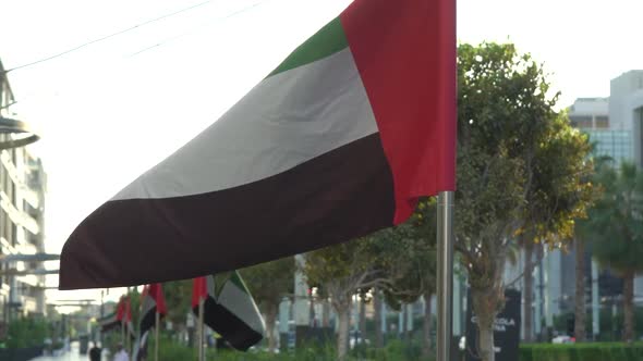 UAE Flags on the Street