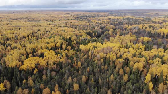 4 Autumn Panorama