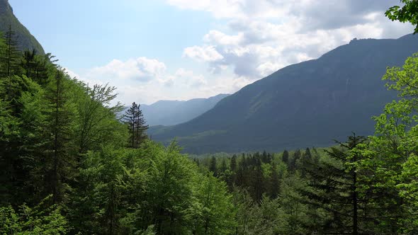 Overview of a valley trough the trees in the European Alps in Triglav National Park in Slovenia alt