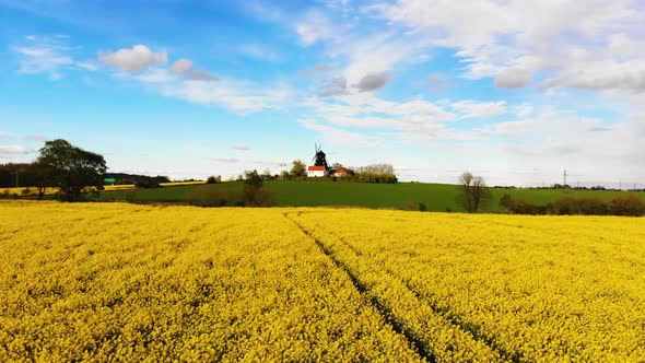 Drone approaching windmill flying over rapsmark. Sweden springtime alt