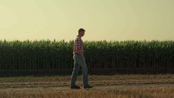 Agronomist Going Country Road Along Organic Corn Field alt