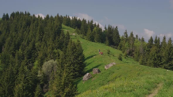 Tourists in the distance approaching top of the hill on beautiful summer sunny day surrounded by for alt