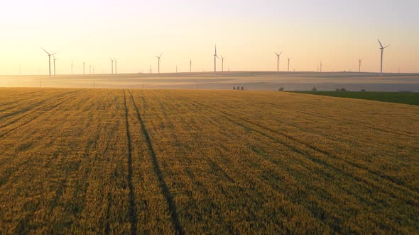 Flying close above vast yellow wheat field with wind turbines in the background alt