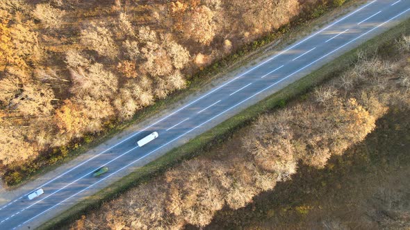 Aerial View of Intercity Road with Fast Driving Cars Between Autumn Forest Trees at Sunset alt