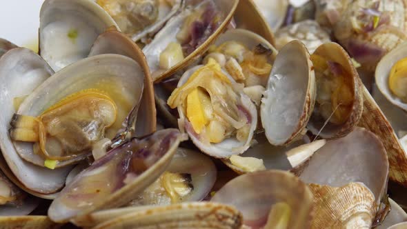 Clam Vongole Rotates on a Black Background Seafood Fresh Clam in a Shell Breathes alt