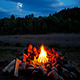 Night Camping Fire