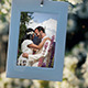 Photo Gallery White Blossom Family &amp; Wedding  - VideoHive Item for Sale