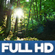 Wild Forest 1 - VideoHive Item for Sale