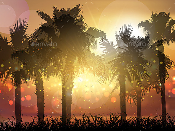 Palm Trees at Sunset - Landscapes Nature