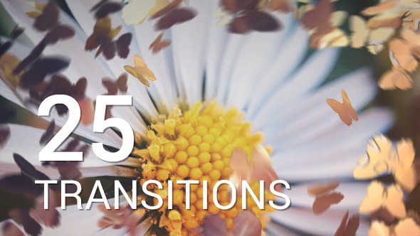 Butterflies Transitions - VideoHive 12016750