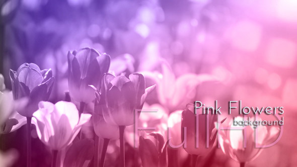 Pink Flowers Nature Background alt