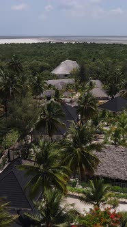 Tanzania  Houses on Zanzibar Island Slow Motion alt