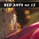Red Ants No.12 Red Ants No.12 - VideoHive Item for Sale