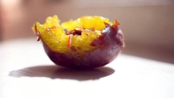 Worm In The Fruit Eats Plum