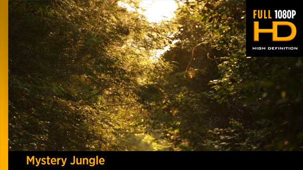 Mystery Jungle