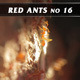 Red Ants No.16 Red Ants No.16 - VideoHive Item for Sale