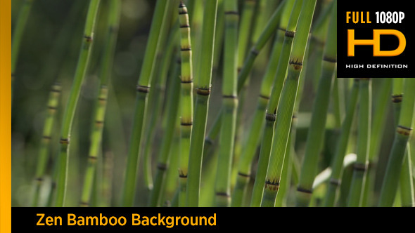 Zen Bamboo Background