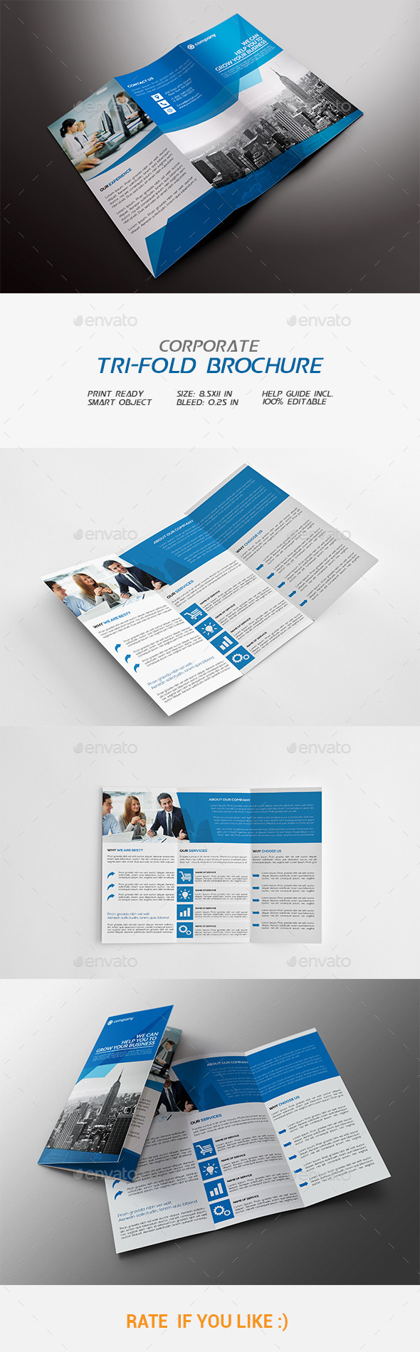 Corporate Tri-fold Brochure - Corporate Brochures