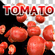 Tomato Dance - VideoHive Item for Sale