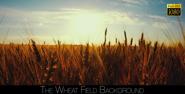 The Wheat Field 2 alt