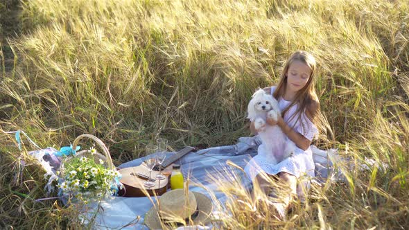 Happy Child in Wheat Field Play with Dog