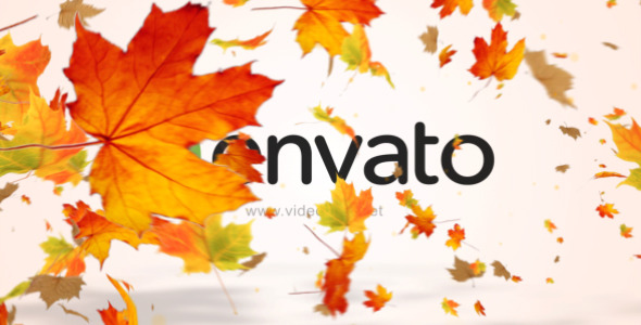 Maple Logo Reveal - VideoHive 12072636