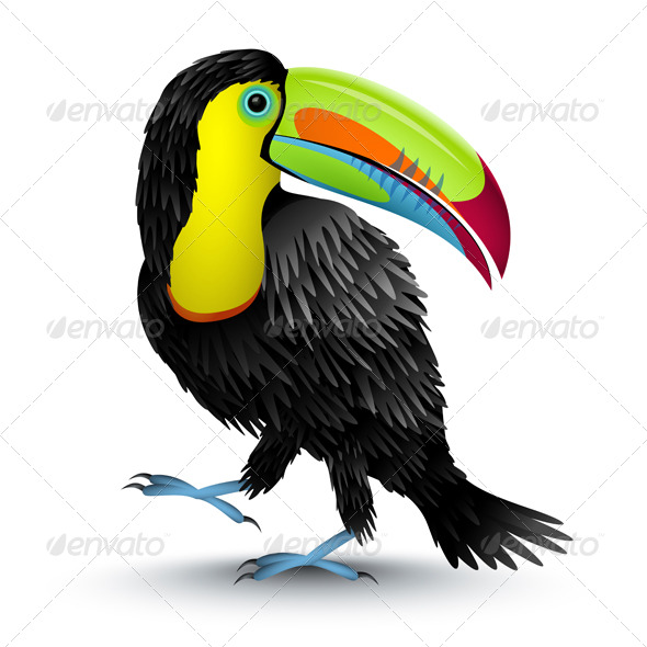 Toucan - Animals Characters