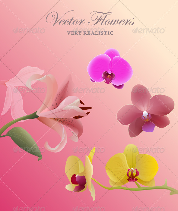 Flowers set - Flowers & Plants Nature
