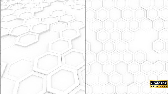 White Hexagons