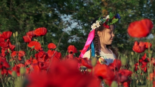 Little Girl In The Field Of Poppies