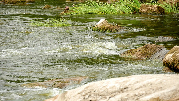 Fast Flowing River With Stones In The Water Fast Flowing River With Stones In The Water