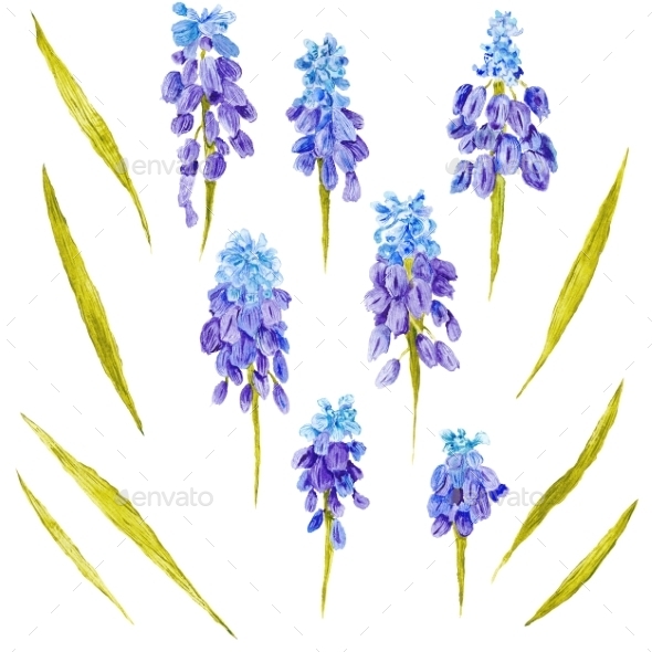 Watercolor Flowers Set - Flourishes / Swirls Decorative