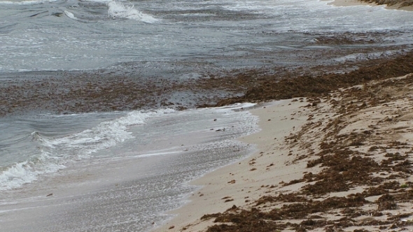 Sea Waves Washing Dirty Seashore