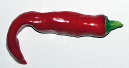 Stings, logos and idents