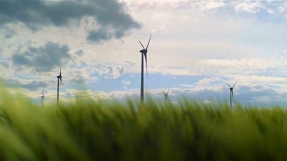 Windmills Field