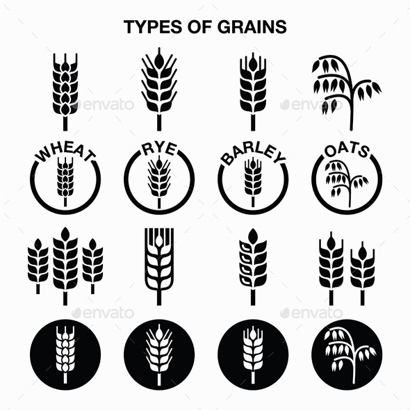 Types of Grains - Food Objects