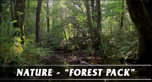 Nature - Forest Pack