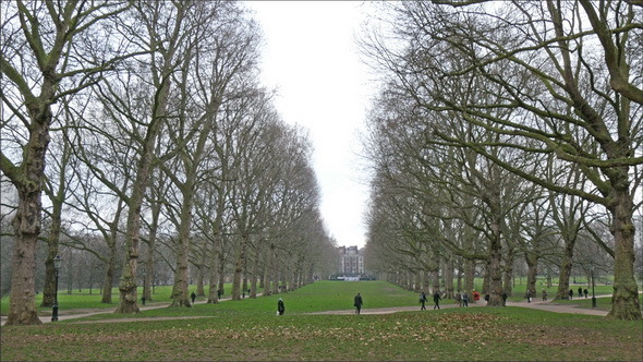 People Having their Morning Walk in the Green Park