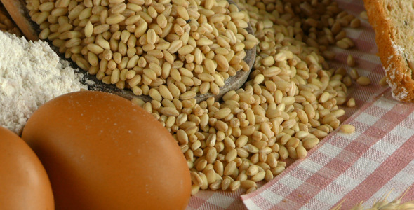 Bread Wheat Egg and Flour Concept 1 Bread Wheat Egg and Flour Concept 1