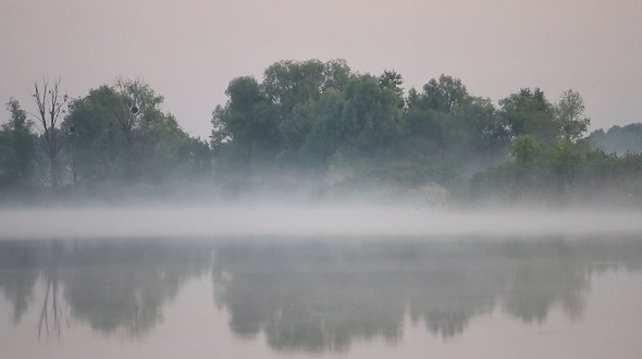Morning Mist Over The River Morning Mist Over The River