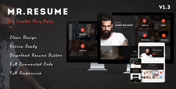 Wonderful Mr.Resume - One Page Resume/Personal HTML Template