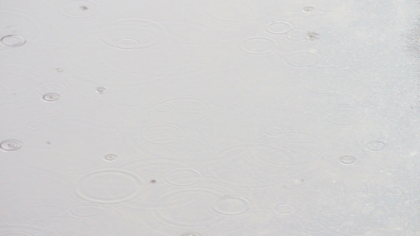 Rain Dripping Through The Puddles alt