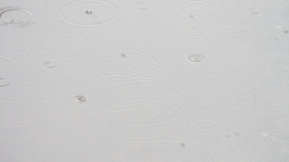 Rain Dripping Through The Puddles Rain Dripping Through The Puddles