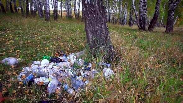 Garbage In The Forest In Autumn. Environmental